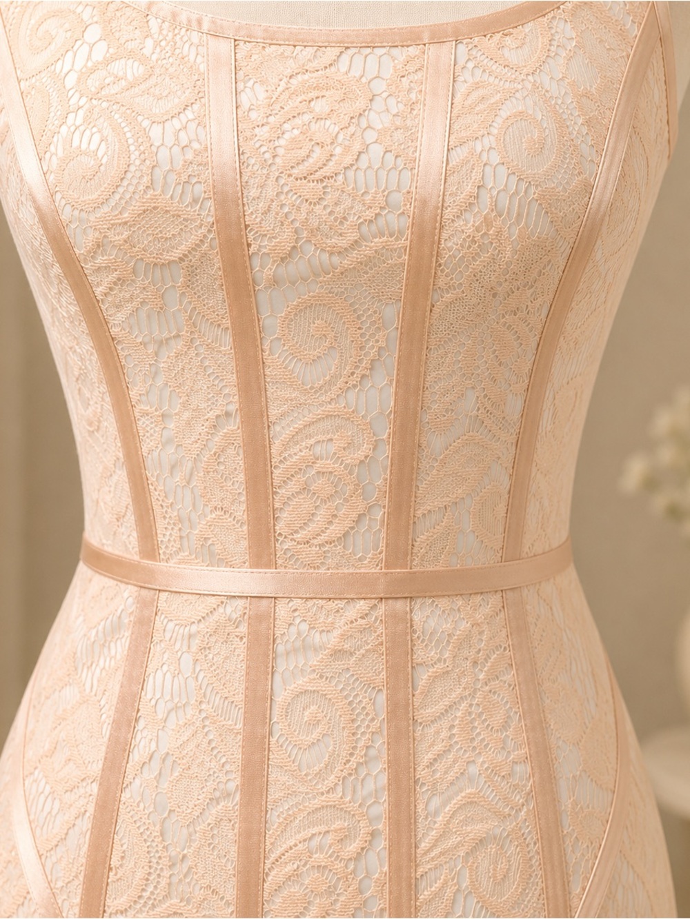 Cache Blush Lace Bodycon Cocktail Dress Size 0 Sheath Formal Wedding Guest - Picture 5 of 7